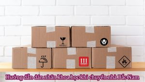 Hướng dẫn dán nhãn khoa học khi chuyển nhà Bắc Nam