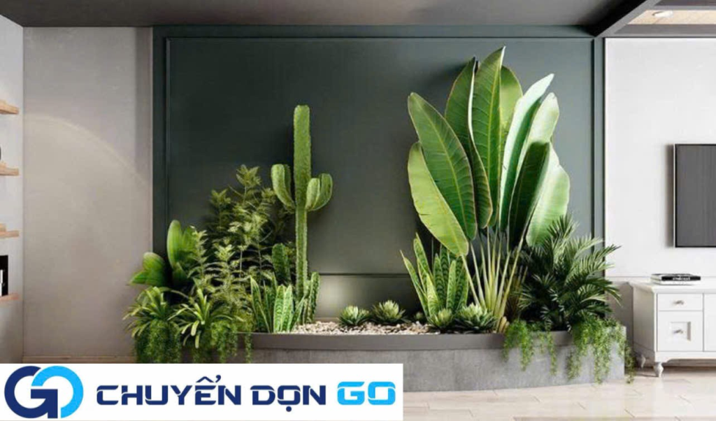 Bố trí cây xanh và vật phẩm phong thủy