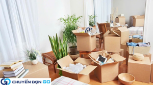 Cách bảo quản cây cảnh khi chuyển nhà Bắc Nam đường dài