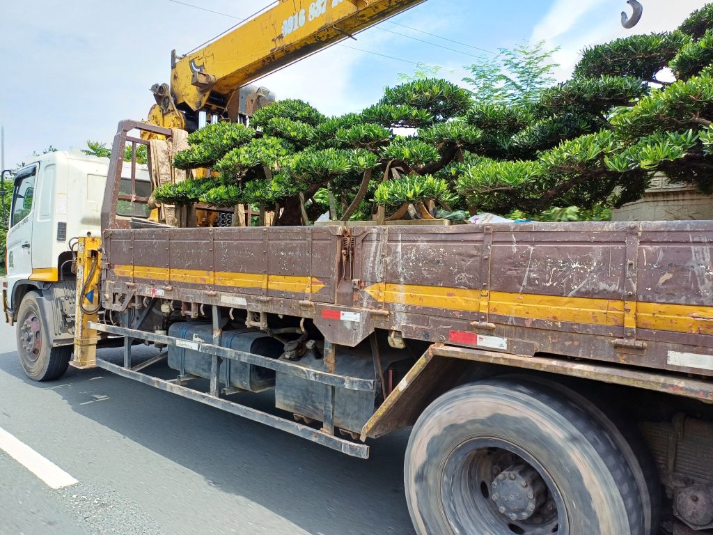 Dịch vụ hỗ trợ đi kèm khi chuyển nhà