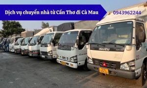 Dịch vụ chuyển nhà từ Cần Thơ đi Cà Mau