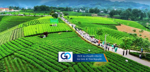 Dịch vụ chuyển nhà từ Sài Gòn đi Thái Nguyên