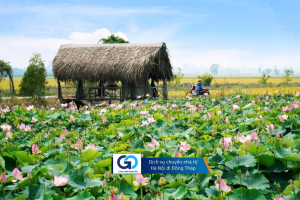 Dịch vụ chuyển nhà từ Hà Nội đi Đồng Tháp