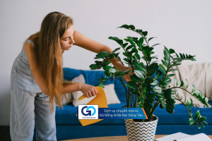 Dịch vụ chuyển nhà từ Đà Nẵng đi Bà Rịa – Vũng Tàu