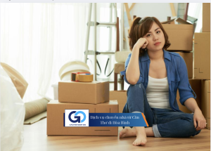 Dịch vụ chuyển nhà từ Cần Thơ đi Hòa Bình