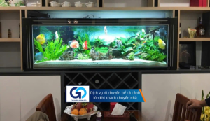 Dịch vụ di chuyển bể cá cảnh lớn khi khách chuyển nhà