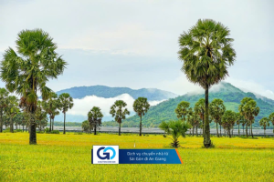 Dịch vụ chuyển nhà từ Sài Gòn đi An Giang