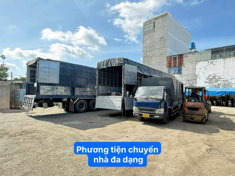 Phương tiện chuyển nhà đa dạng 