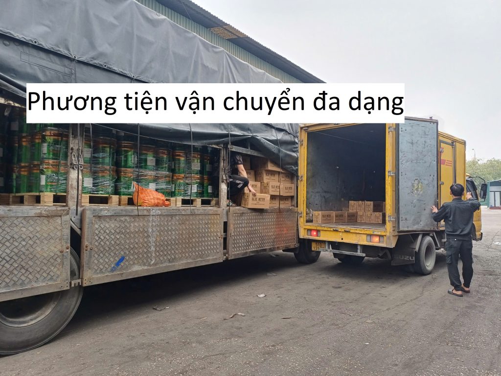 Phương tiện vận chuyển đa dạng