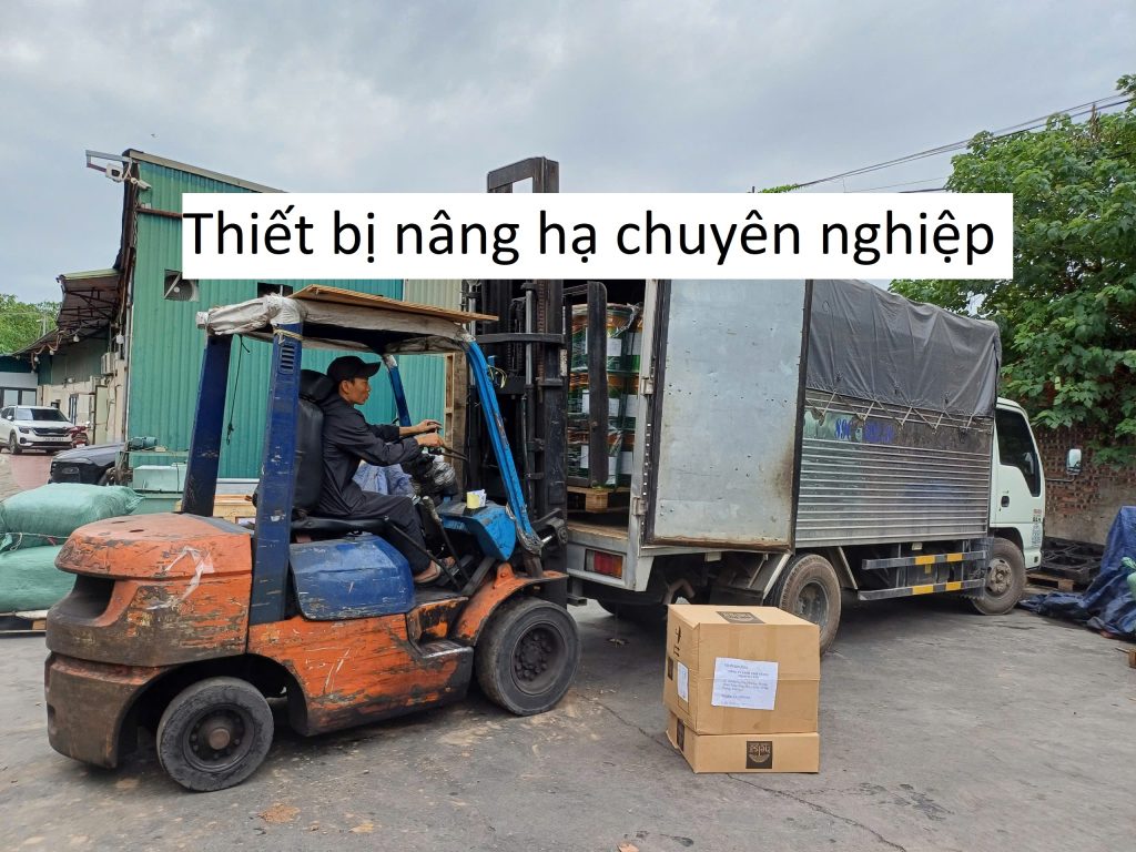 Thiết bị nâng hạ chuyên nghiệp