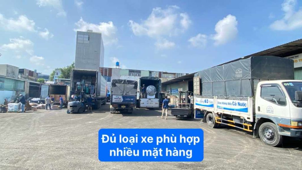 Đủ loại xe phù hợp nhiều mặt hàng